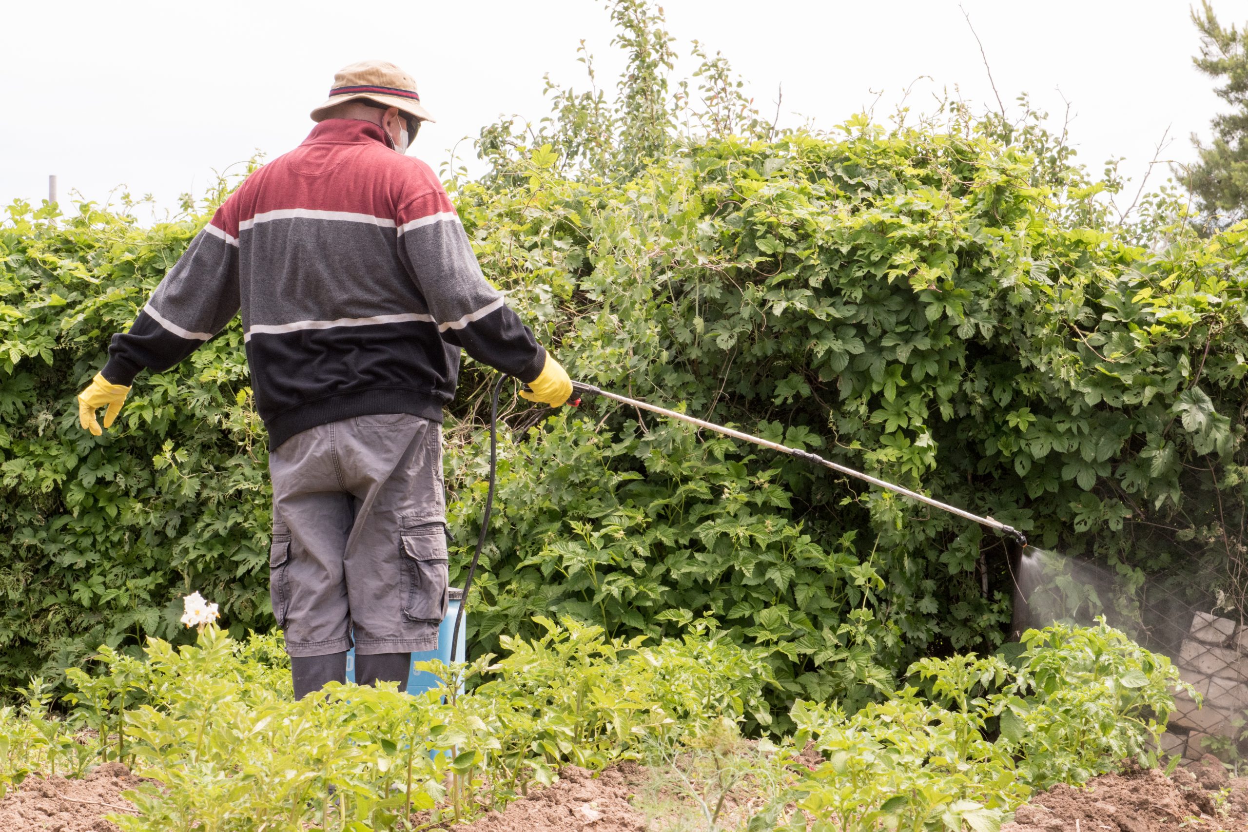 weed control